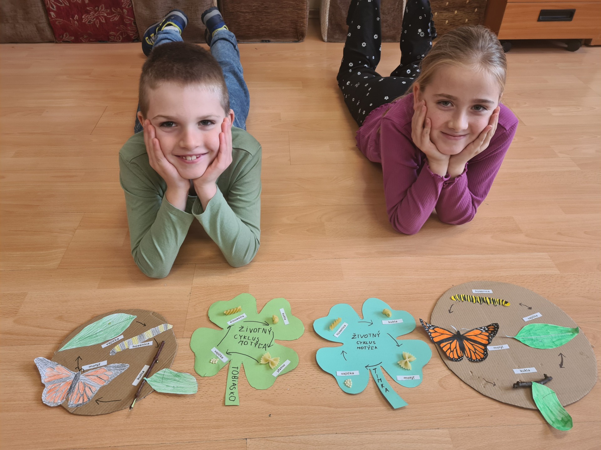 Prvouka - životný cyklus motýľa