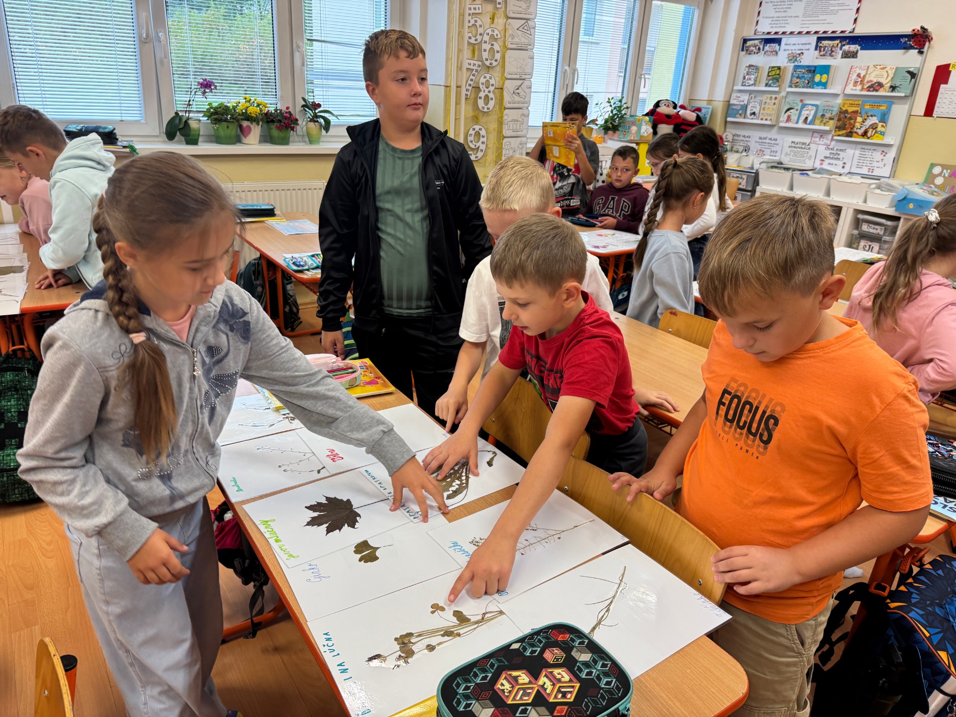 Zoraďujeme podľa abecedy naše prvácke vylisované rastlinky :)